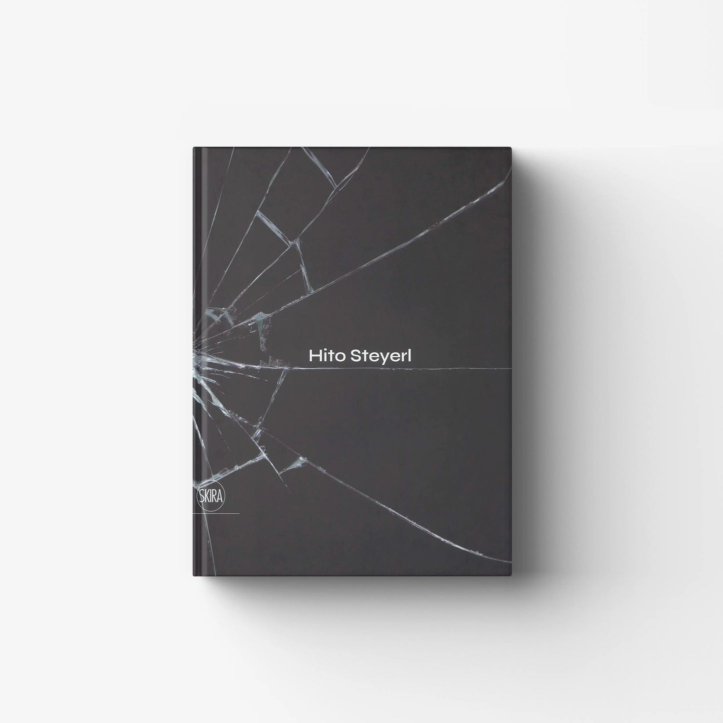 Hito Steyerl (Italian Edition)