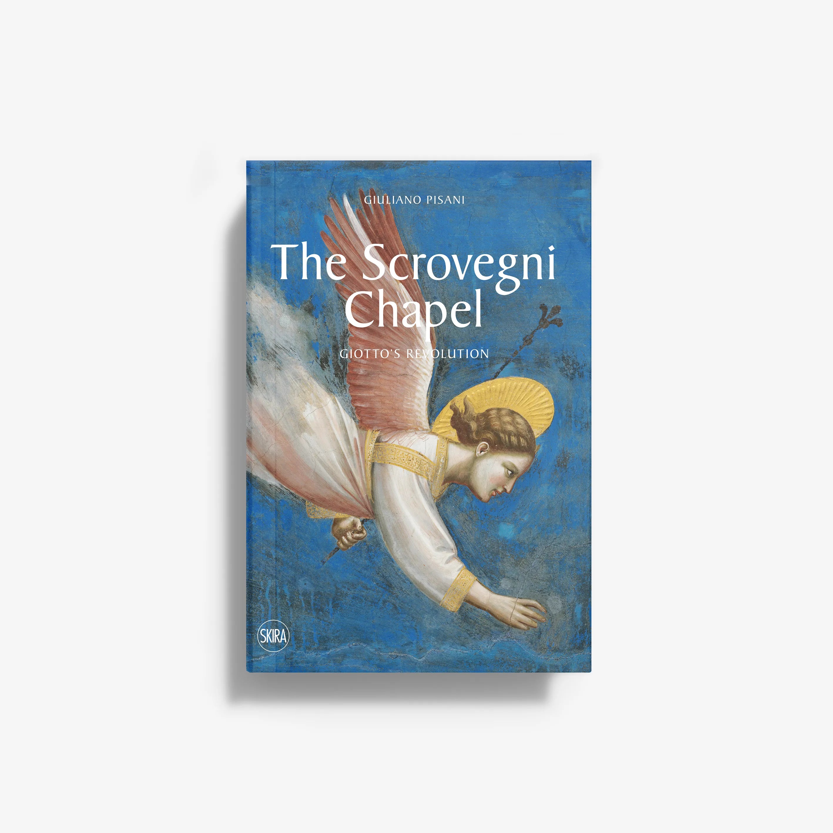 art book in blue with angel artwork, Skira Arte, The Scrovegni Chapel, Giotto's Revolution fresco cycle study