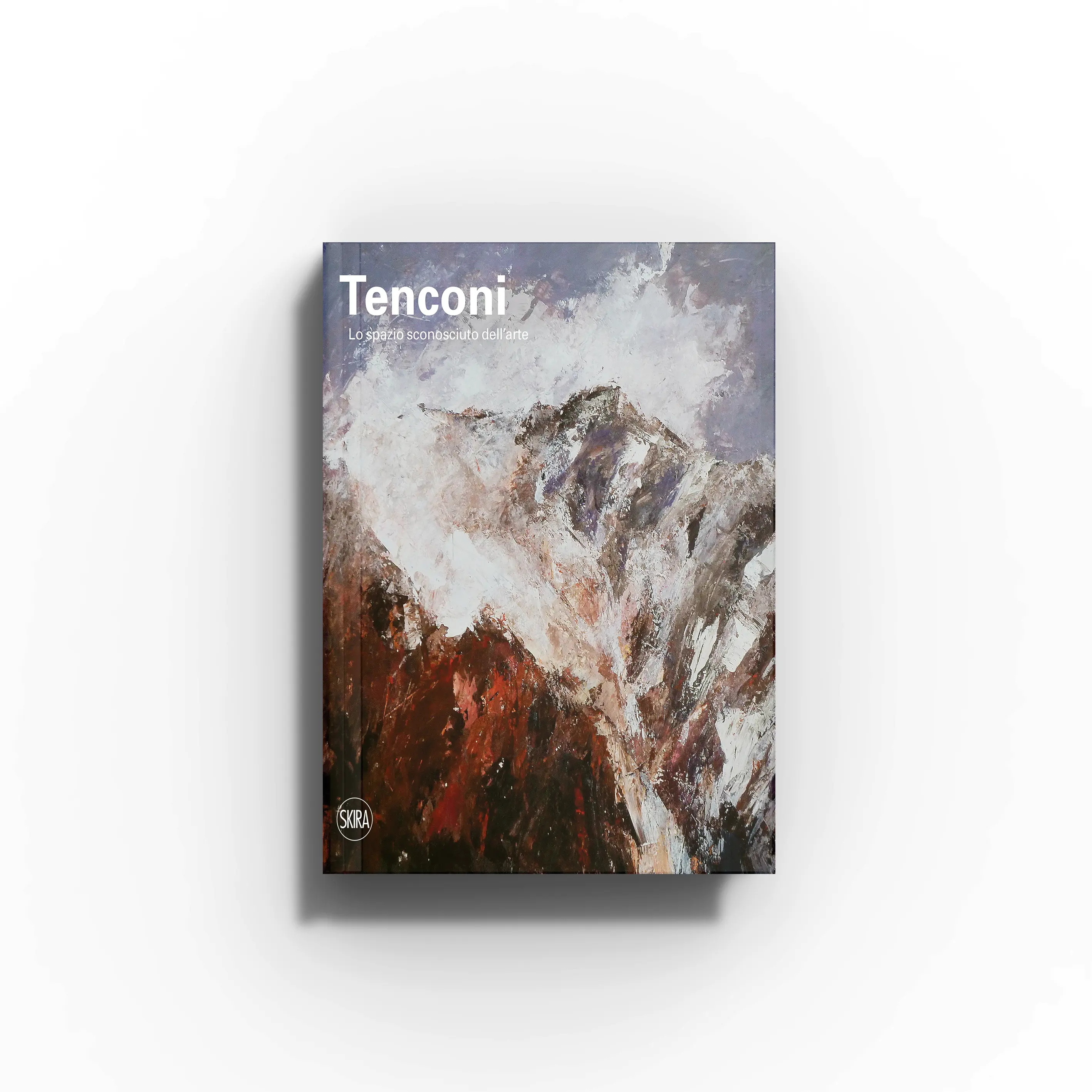 Contemporary art book in multicolour abstract cover with Skira Arte, Sandra Tenconi critical essay themes