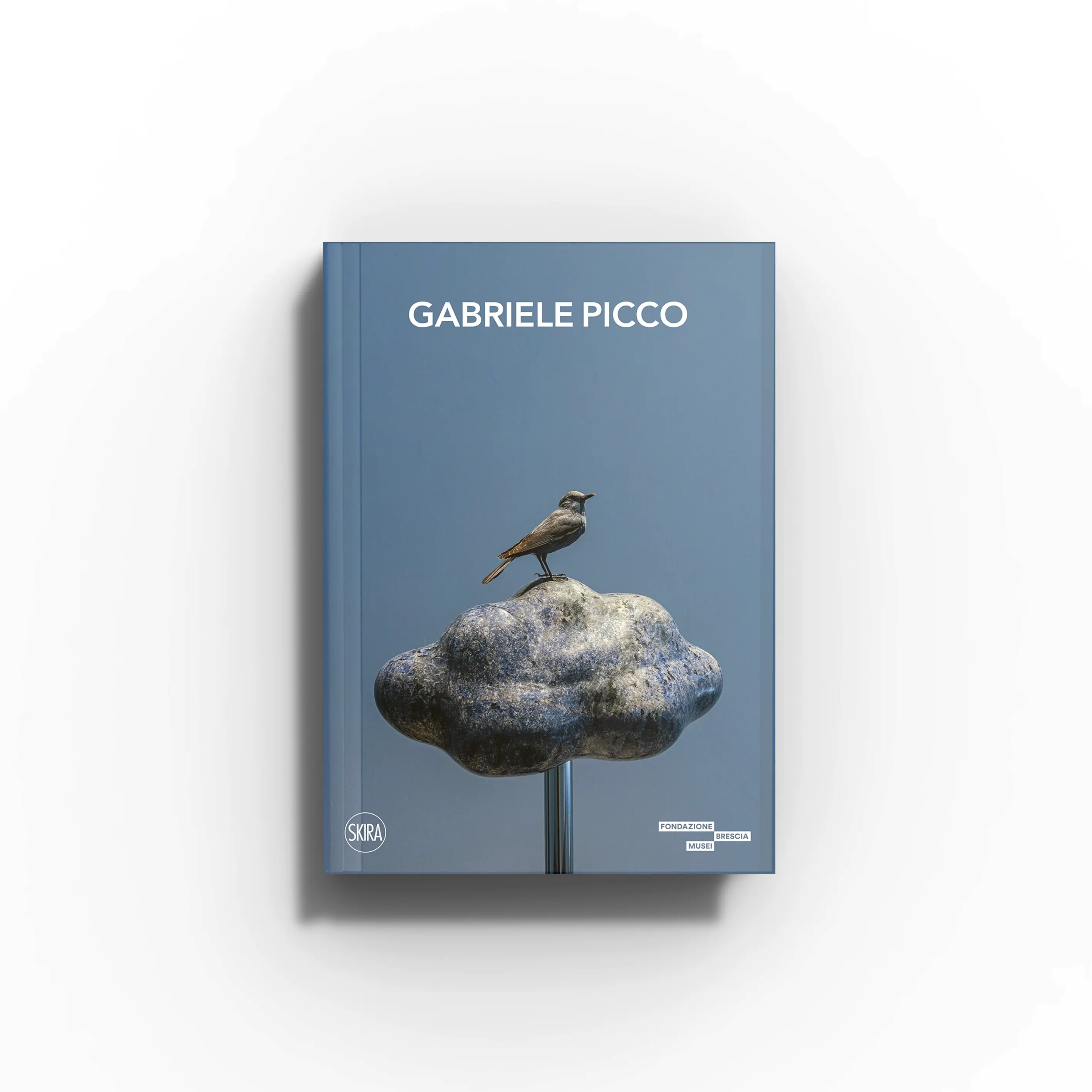 Contemporary art book by Skira Arte, blue cover with title Gabriele Picco and bird sculpture on stone pedestal