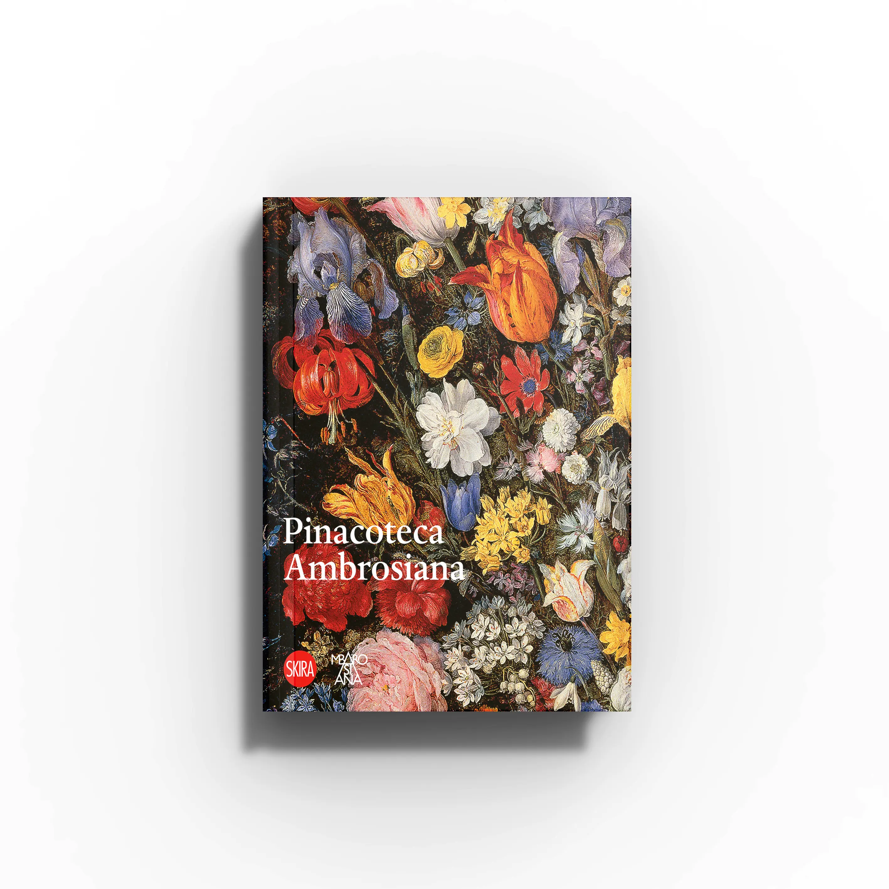 Art book Pinacoteca Ambrosiana by Skira Arte with illustrated floral artwork cover and guidance to collections