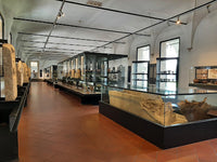 Museo Eremitani