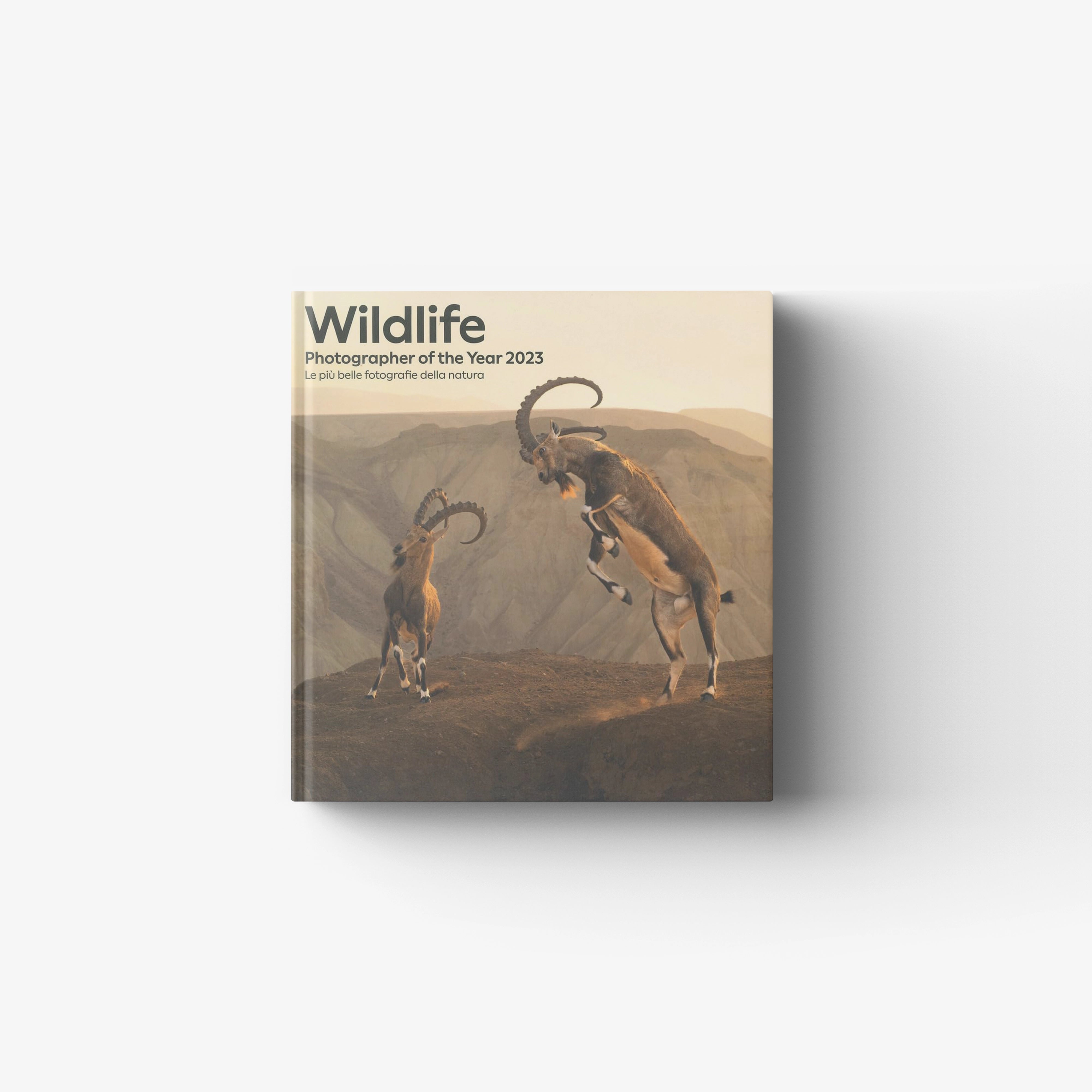 Wildlife book by Skira Arte with printed cover showing wildlife photographer of the year 2023 scene